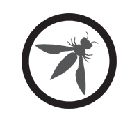 Formation Sécurité OWASP avec ASP.NET — Cybersécurité