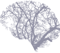 Formation Deep Learning interprétation & traitement d'images — Intelligence Artificielle