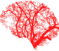Formation Deep Reinforcement Learning — Intelligence Artificielle