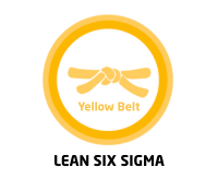 Formation Certification Lean Six Sigma Yellow Belt — Management